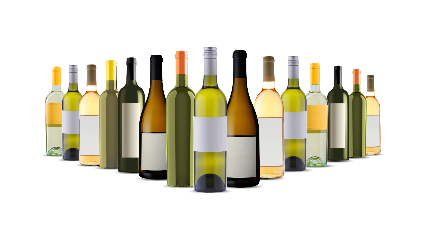 Mystery Whites, Rosé, Sparkling 15-Pack
